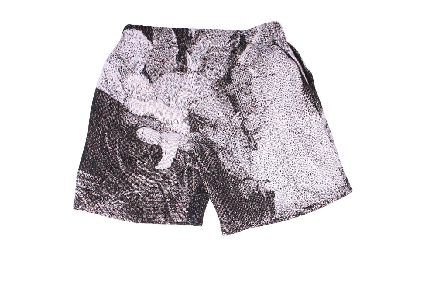 0.1% [TAPESTRY ANGEL SHORTS]